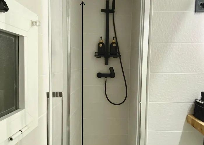 The Numid King Málaga