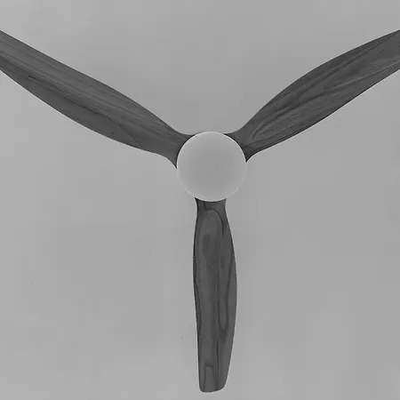 民宿 The Numid King